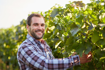 Smiling winemaker in the vineyard