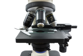 microscope slide sample medical research