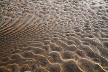 sandy background