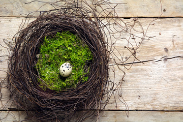 easter nest of twigs and moss with a lonely quail egg on rustic