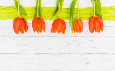 Frühling Tulpen Karte Hintergrund Weiß Holz