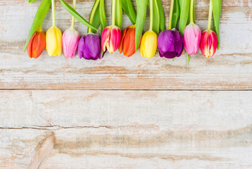 Bunte Tulpen auf Holz im Landhausstil