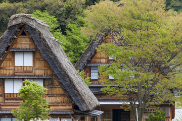 Fototapeta na wymiar Traditional and Historical Japanese village Ogimachi - Shirakawa