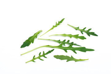 Rucola leaves