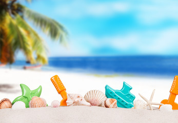 Shells on sandy beach with tropical beach background 