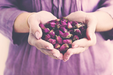 Woman holding dried rosebuds in her hands