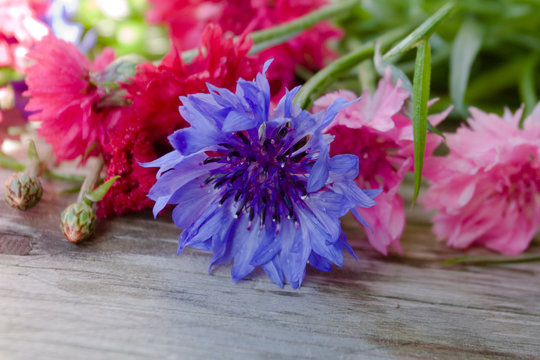 Blue cornflower with magenta and pink cornflowers are lying on a wooden table