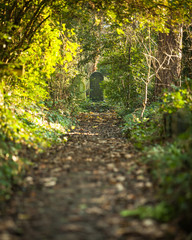 Cemetery footpath. A tranquil autumnal rural scene leading to grave stone in an old English grave yard.