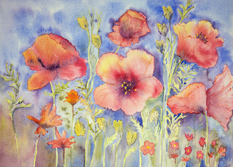 Field of naive poppies. The dabbing technique gives a soft focus effect due to the altered surface roughness of the paper.