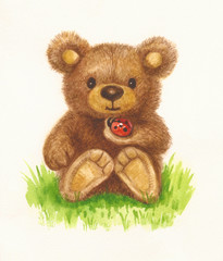 Cute baby bear holding ladybird, watercolor.