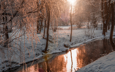 foggy morning in city park.