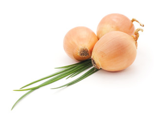 Big ripe onions.