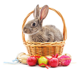 Easter Bunny with colored eggs.