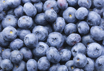 Delicious super-food Blueberries