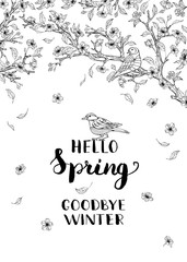 Hello spring, goodbye winter!