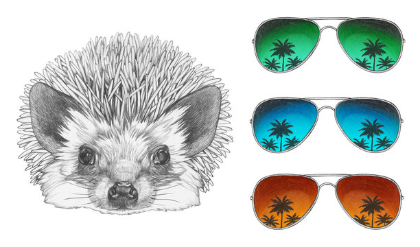 Portrait of Hedgehog with mirror sunglasses. Hand drawn illustration. 