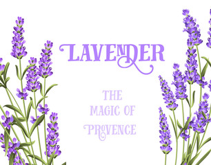 The lavender elegant card.