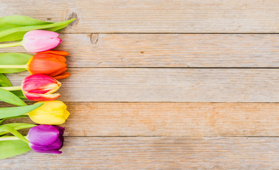 Blumen Dekoration Frühling Bunte Tulpen