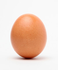 egg on the white background