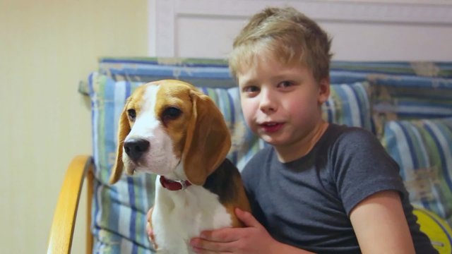 9 years old kid and 5 month old beagle puppy sitting on sofa. Portrait of child and his cute pet dog in home interior. Funny couple of two sitting together.
