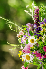 Bouquet of herbs and wild flowers, natural green background, sel