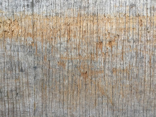 texture on the wood