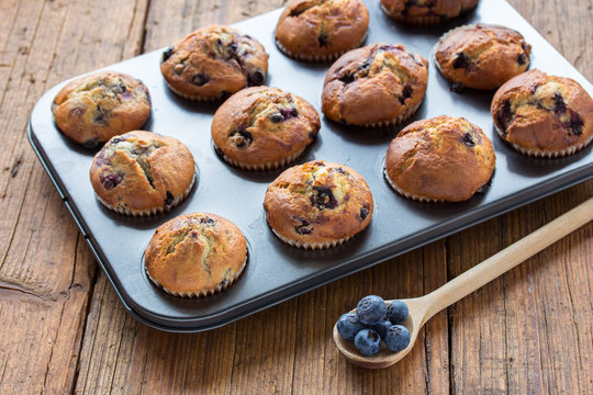 Blueberry Muffins