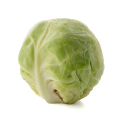 Fototapeta premium Fresh brussels sprouts