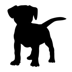 fox terrier puppy dog silhouette isolated