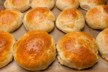 Frische selbstgemachte Brioche/Hamburgerbrötchen
