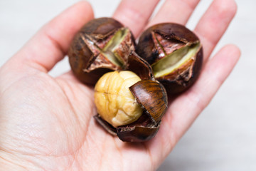 Three roasted hestnut on a hand