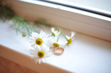Wedding rings and chamomile