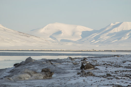 Mountains and icy sea near Longyearbyen, Spitsbergen (Svalbard).