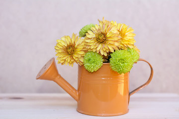 beautiful green flowers in a small watering cans.Home decoration