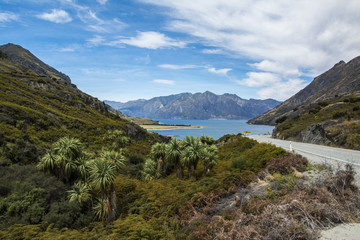 Fototapeta na wymiar A roadtrip in New Zealand: Haast Pass Highway to Wanaka