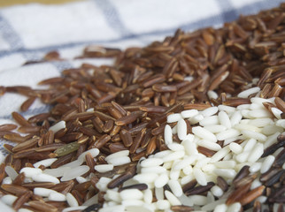 Thai rice and soy bean seeds