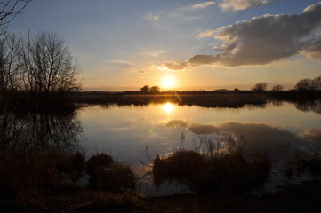 Reinheimer Teich, abends