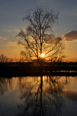 Reinheimer Teich, abends