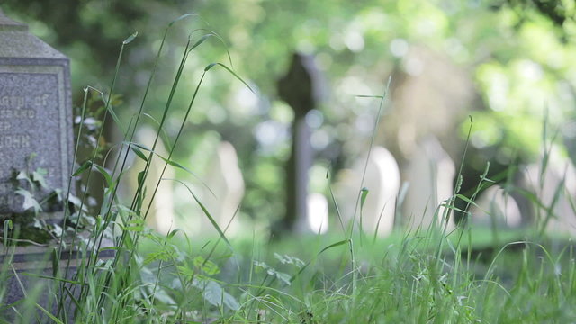 An English graveyard in the summer sun