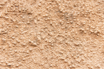 Old brown painted wall background texture