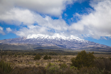 Fototapeta na wymiar Tongariro National Park Neuseeland