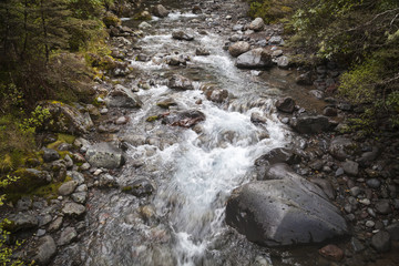 Flußlandschaft im Tongariro Nationalpark Neuseeland
