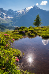 Summerday in the Alps