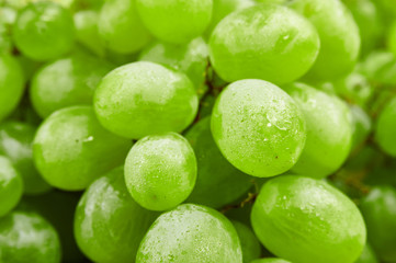 Fresh grape bunch. Fruit background
