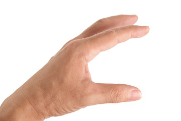Human hand / Human hand on white background.