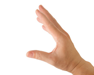 Human hand / Human hand on white background.