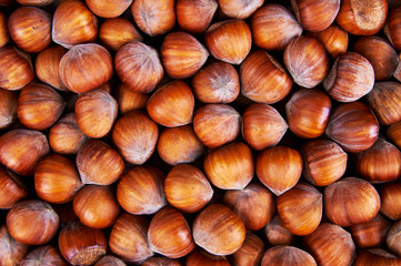 Stack of hazelnuts. Hazelnut background