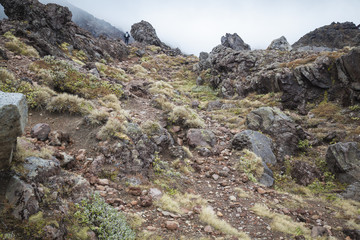 Tongariro National Park Neuseeland