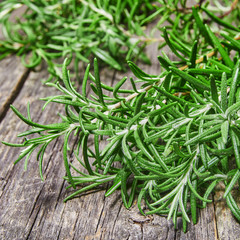 Bunch of fresh rosemary herbs on rustic wooden table
