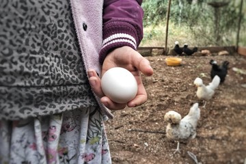 girl holding a fresh egg - Powered by Adobe